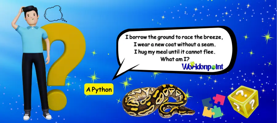 snake riddles
