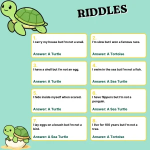 Turtle Riddles