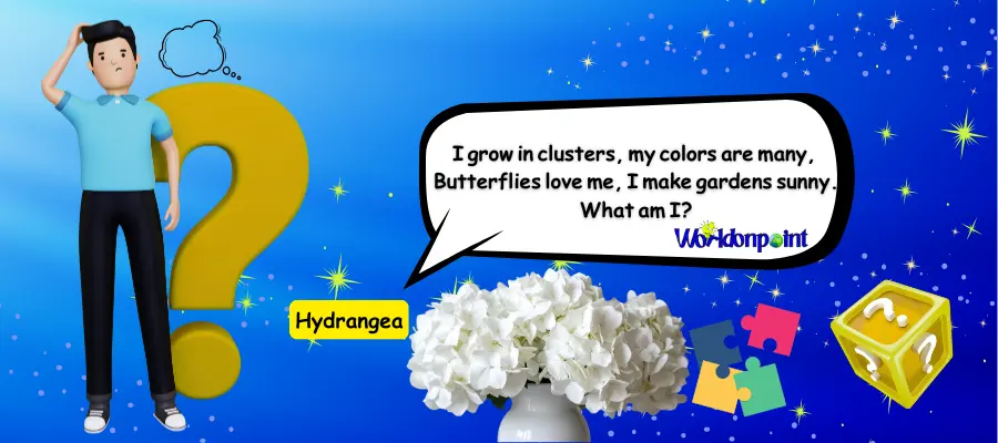flower riddles