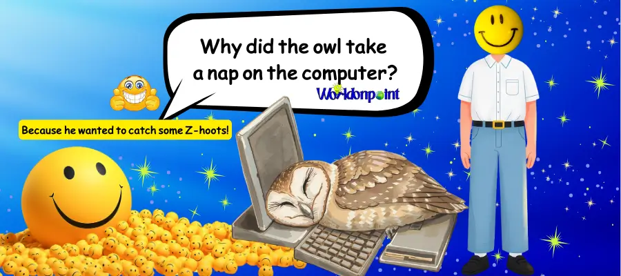 owl jokes