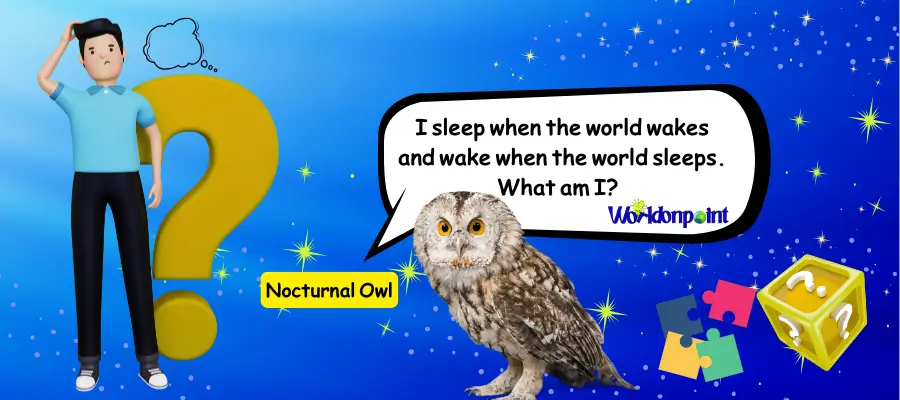 owl riddles