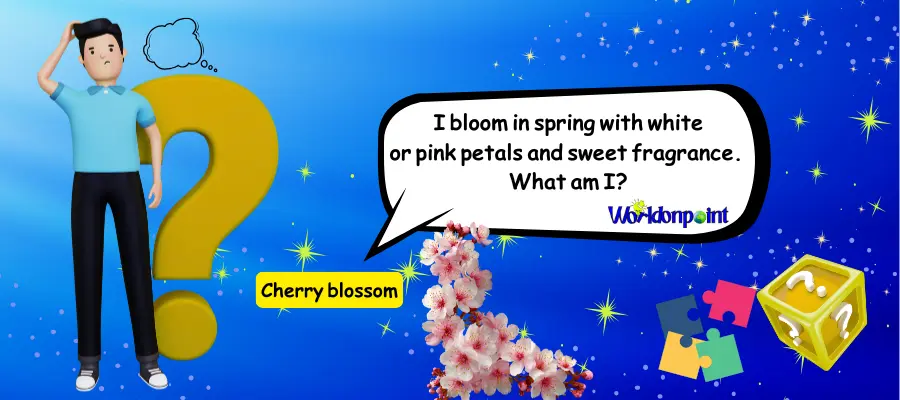 garden riddles