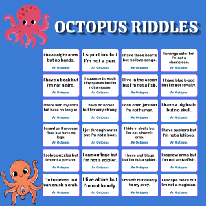 Octopus Riddles
