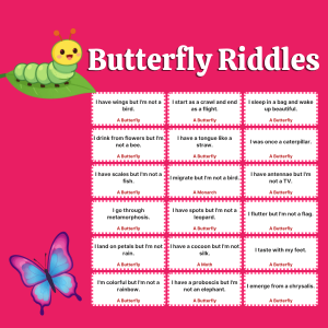 Butterfly Riddles