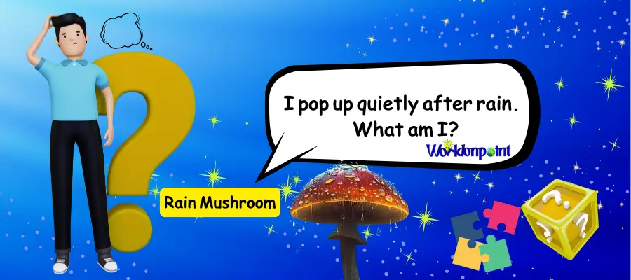 Mushroom Riddles