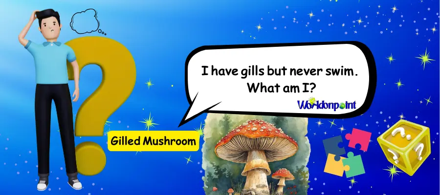 Mushroom Riddles