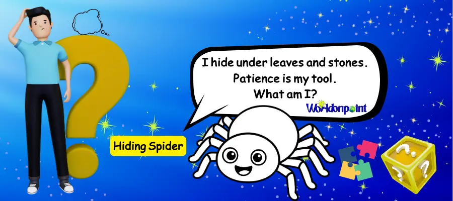 spider riddles
