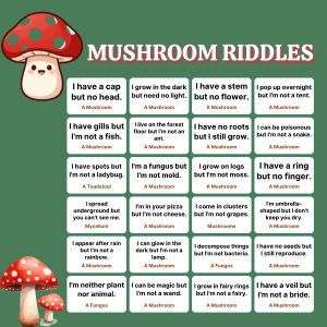 Mushroom Riddles