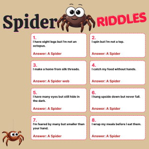 spider riddles