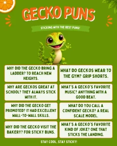gecko puns