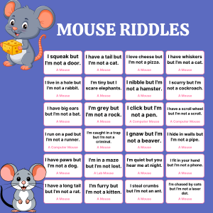 Mouse Riddles 