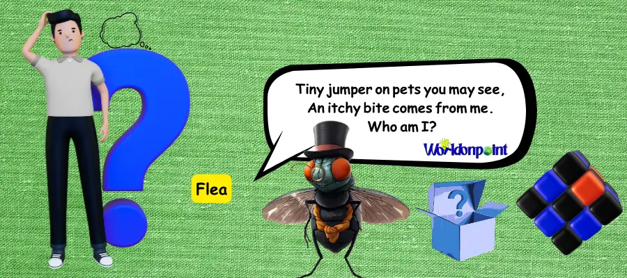 bug riddles