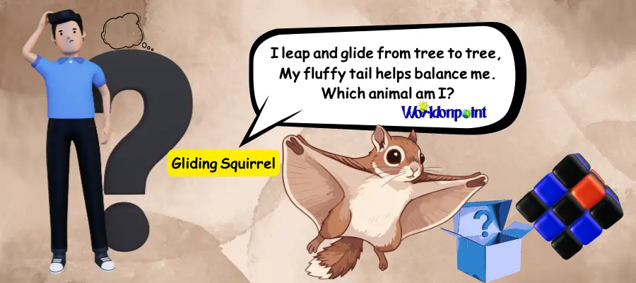 squirrel riddles