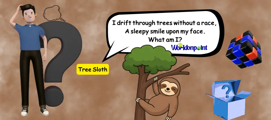 sloth riddles