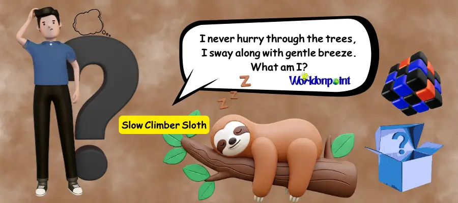 sloth riddles