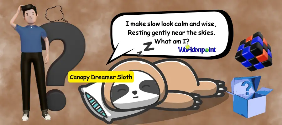 sloth riddles