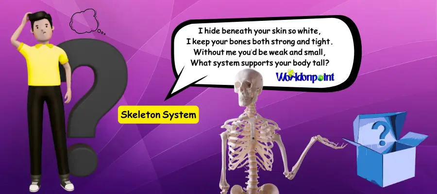 skeleton riddles