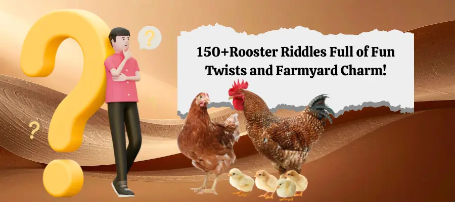 rooster riddles
