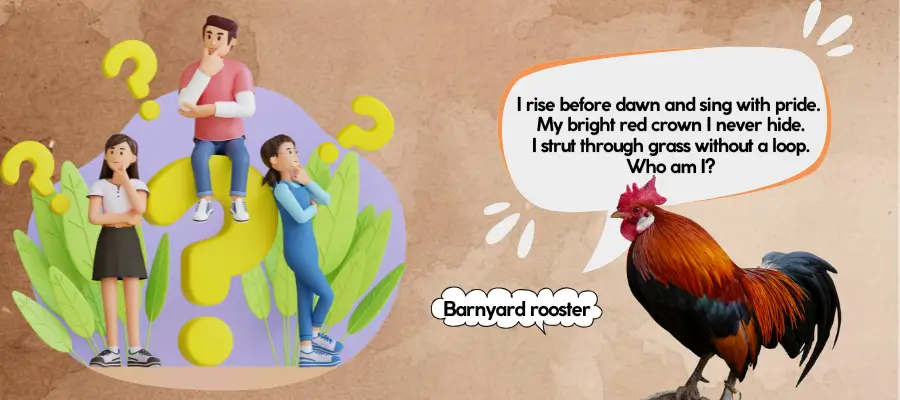 rooster riddles