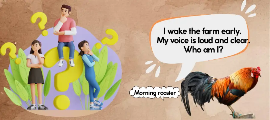 rooster riddles
