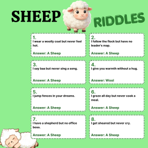 Sheep Riddles