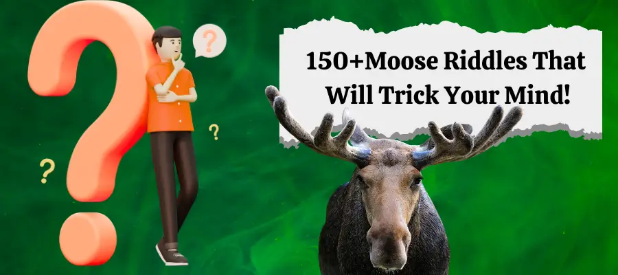 moose riddles