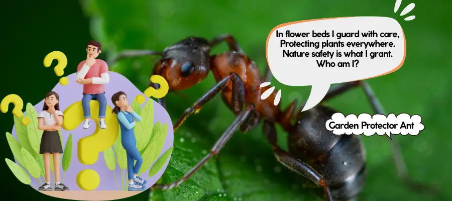 ant riddles