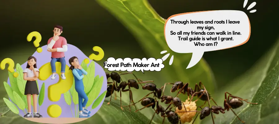 ant riddles