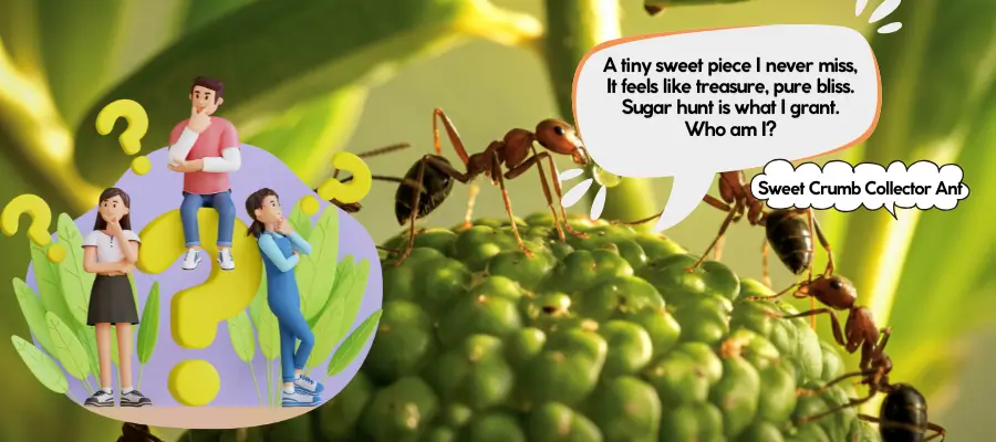 ant riddles