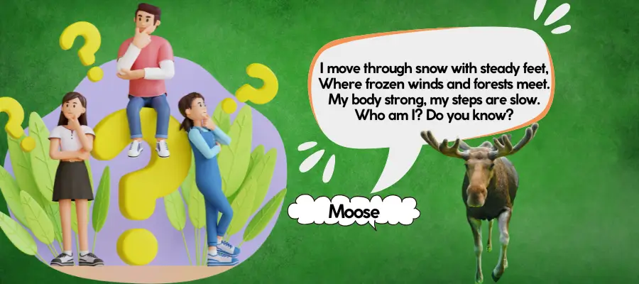moose riddles