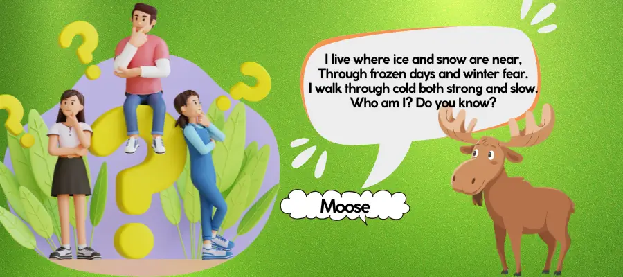 moose riddles