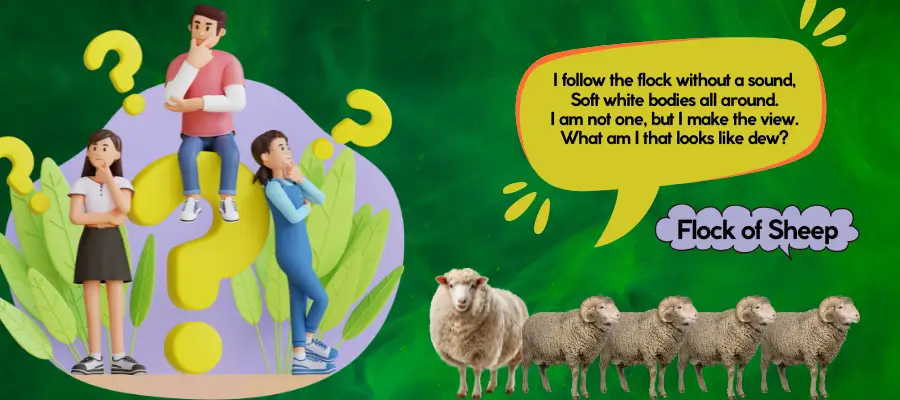 sheep riddles