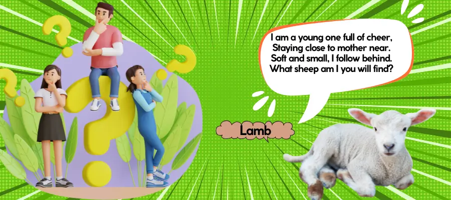 sheep riddles
