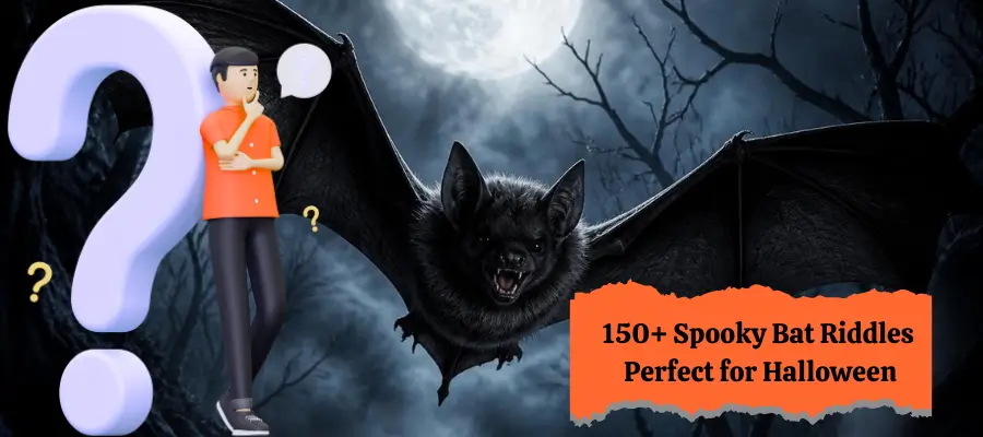 Bat Riddles
