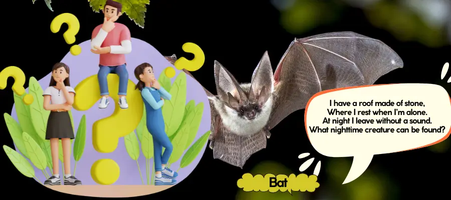bat riddles