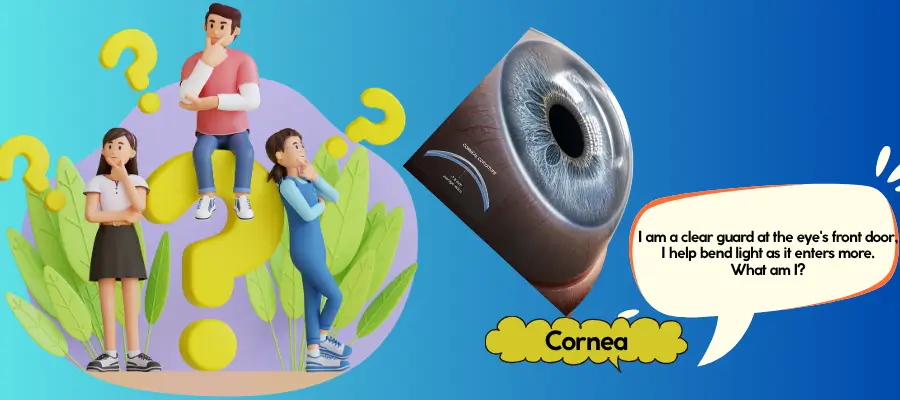 eye riddles
