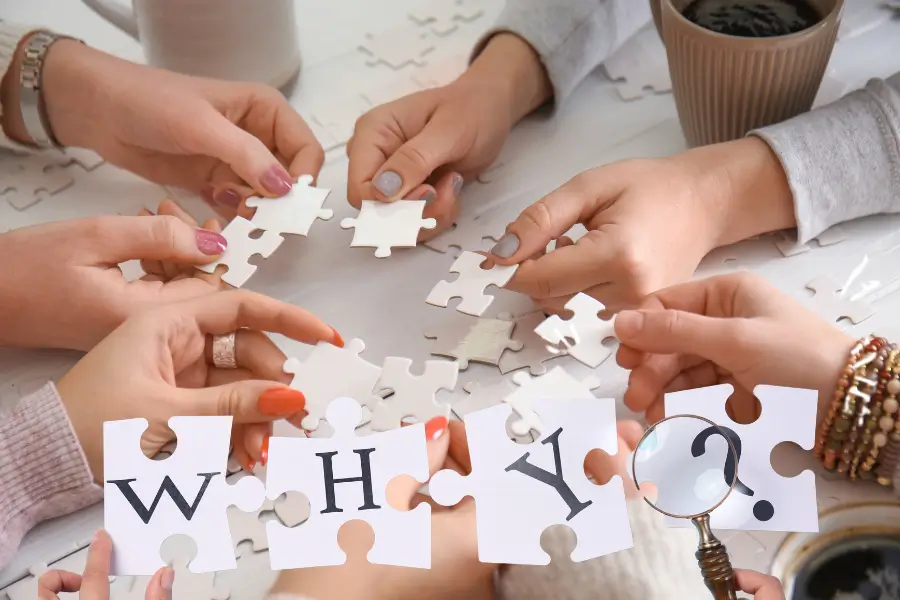 Why Do People Solve Puzzles Daily