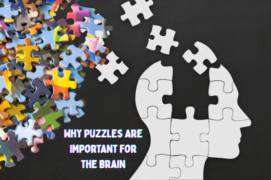 Why Puzzles Are Important for the Brain