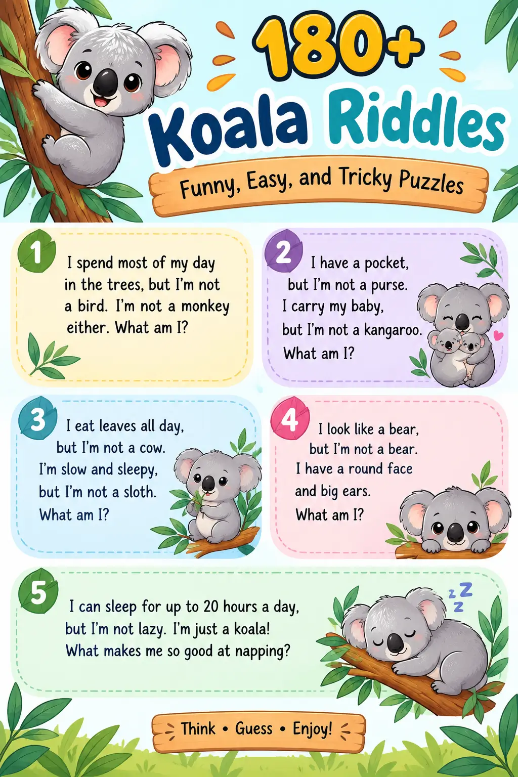 Koala Riddles